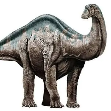 Profile image of フェイカー