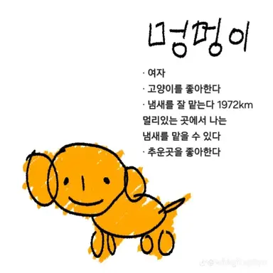 Profile image of 멍멍이