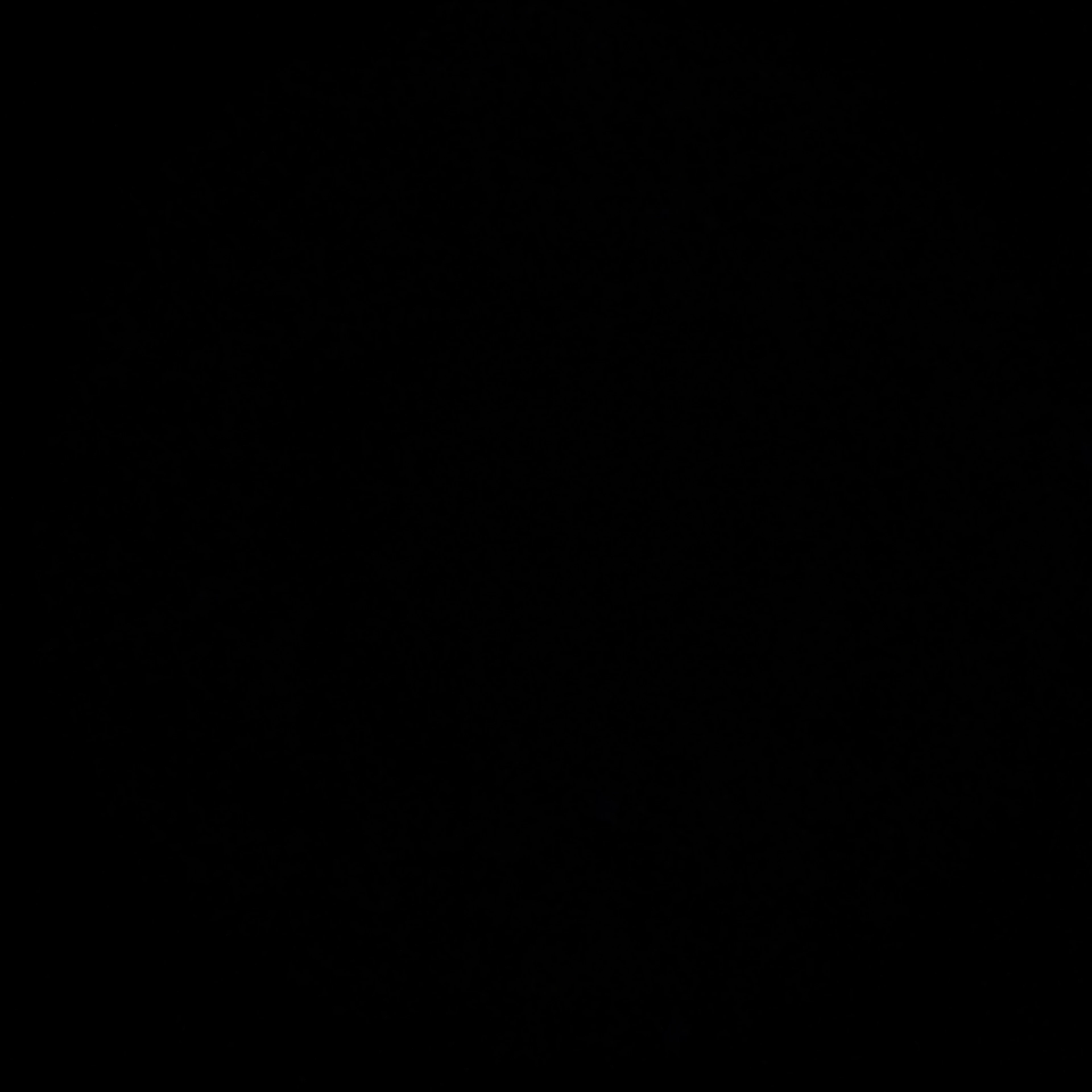 장한음