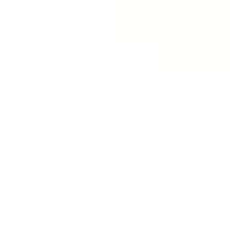 코니짱