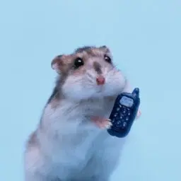 byoooot의 쬲