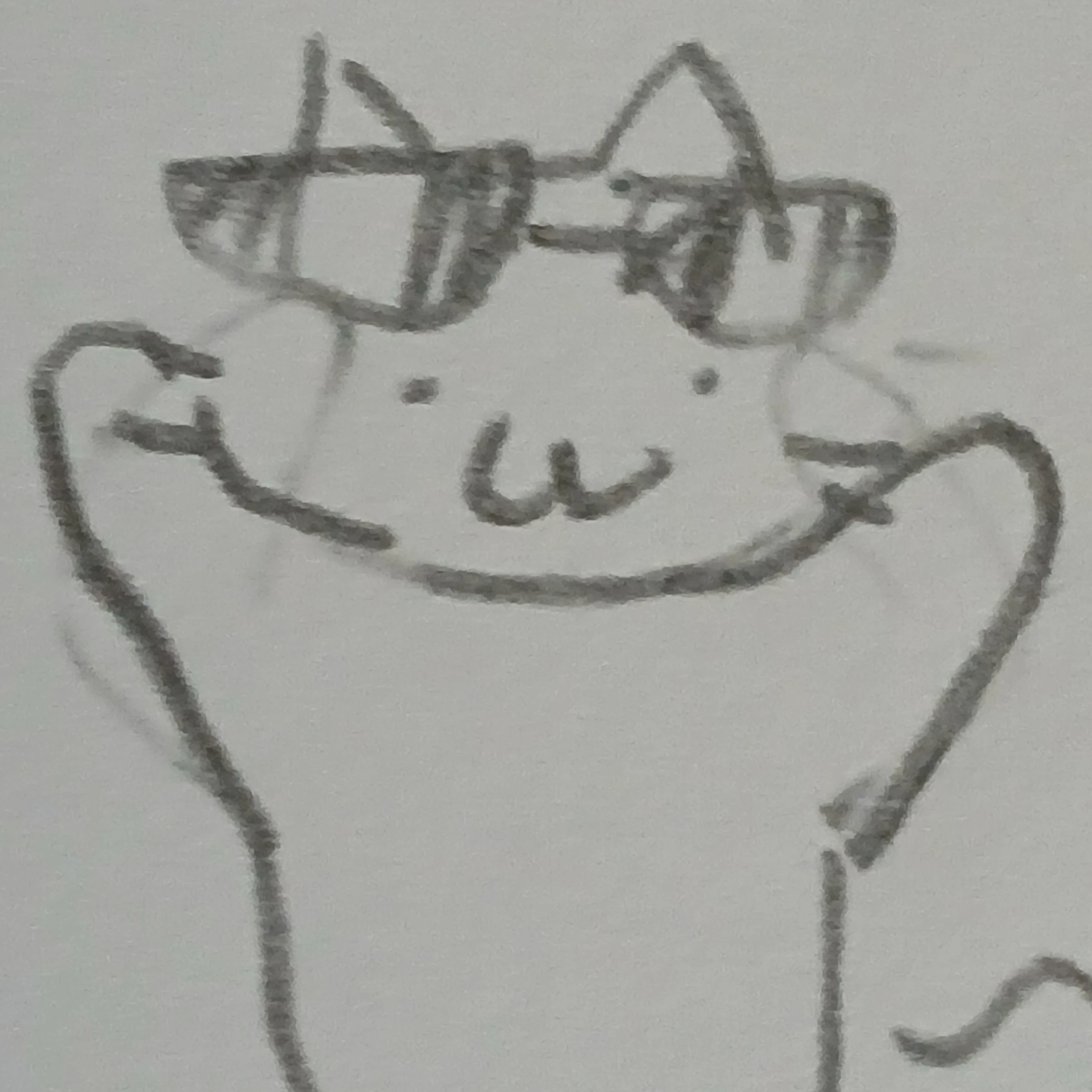 선글냘