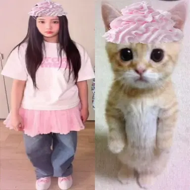 Profile image of Wonhee