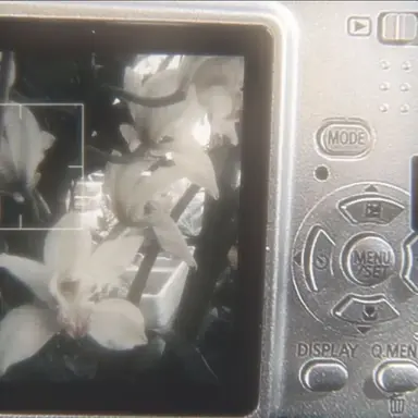 Profile image of シン・ジフ