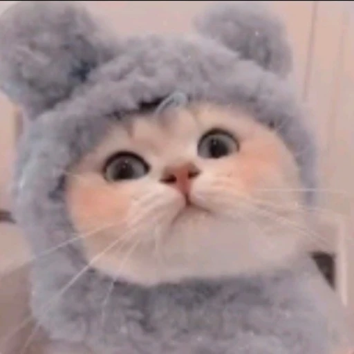 연습생