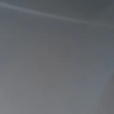 Profile image of 코쵸우 시노부