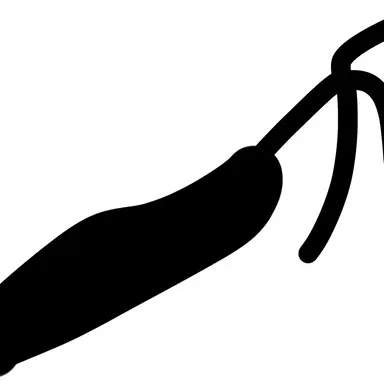 Profile image of 프로토 타임