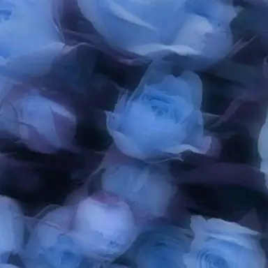 Profile image of ミヒャエルカイザー