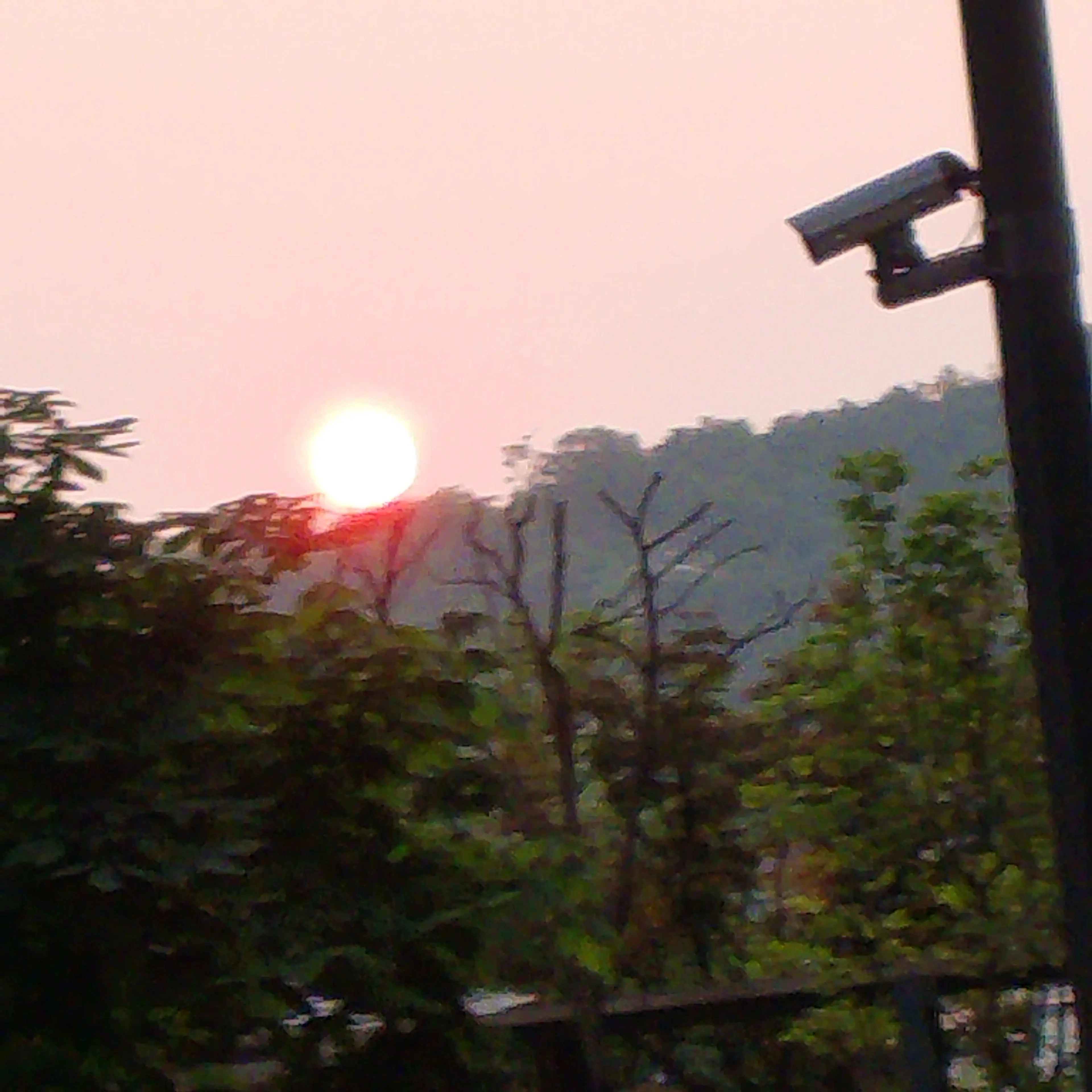 BiasedSlur7926의 케데헌 초등학교(여우 없)