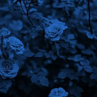 Profile image of ㅅㅇㅈ