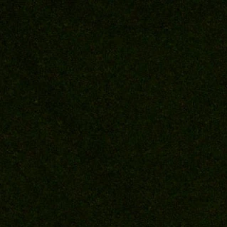 윤정핝