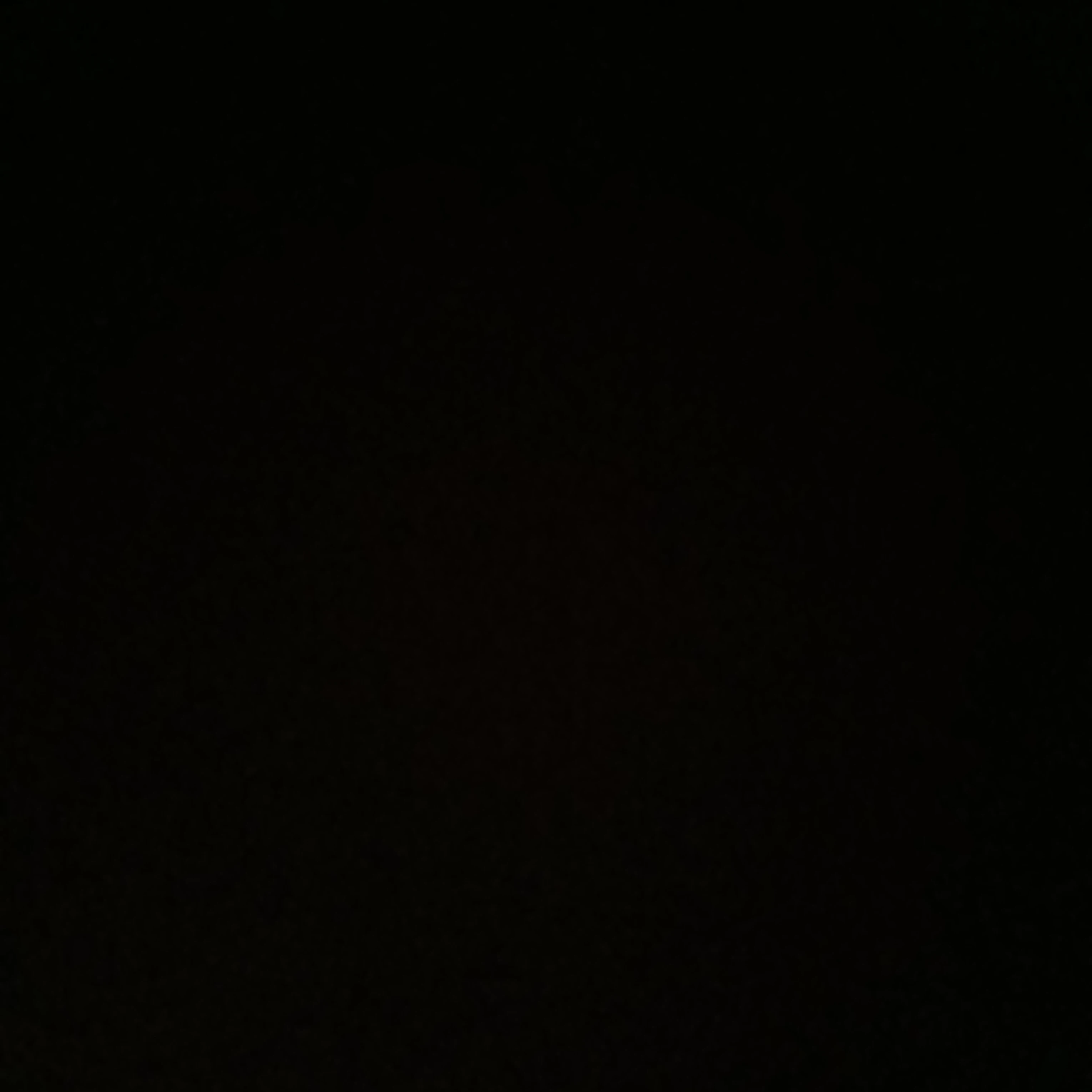 장한음