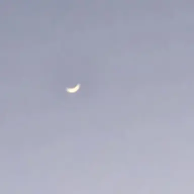 Profile image of 준브레드