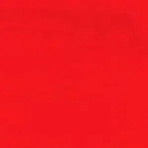 Profile image of ルリ