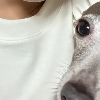 Profile image of 김규빈