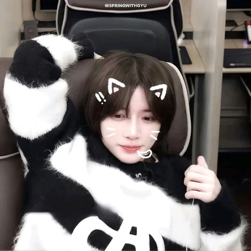 범규