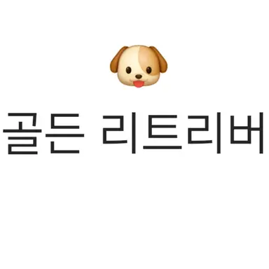 Profile image of 루카