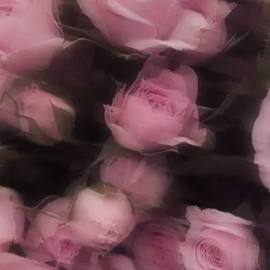 Profile image of にじ女子ライバー