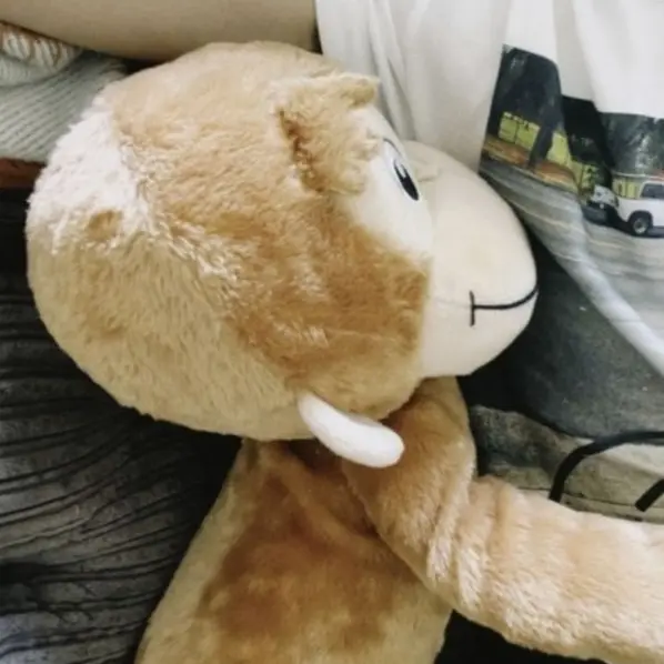 SpikyMucus5868의 向井康二