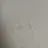 류