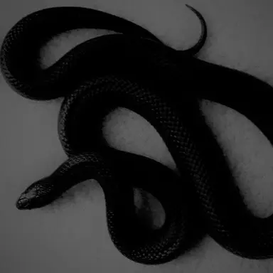 Profile image of ㄱㅈㅊ