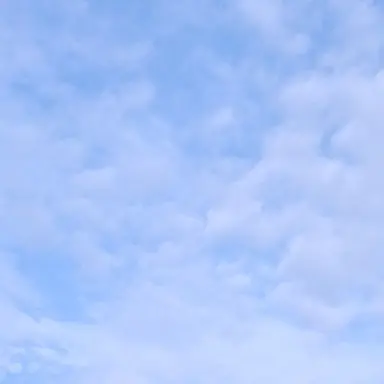 Profile image of 전현무