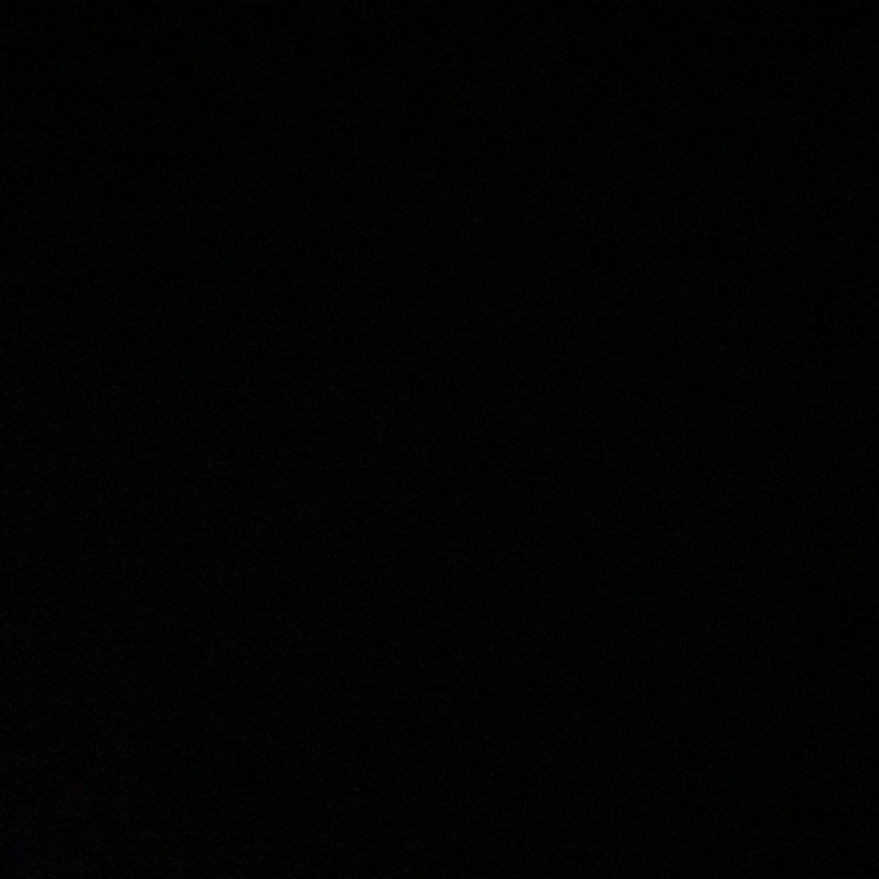 Dogfight의 하리보