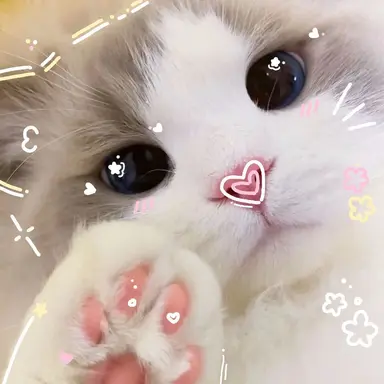 Profile image of 수린아