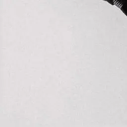 Profile image of 若井滉斗
