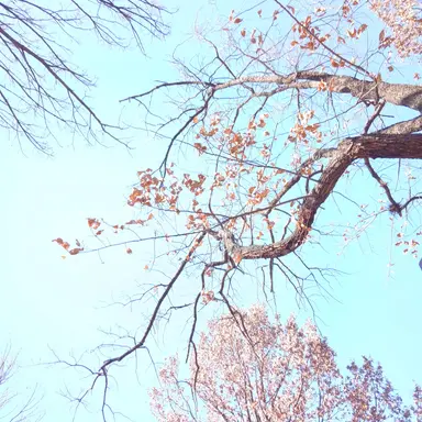 Profile image of 집사