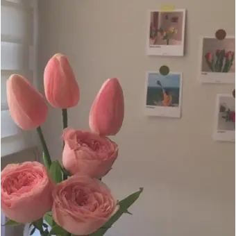 Profile image of 조우안신