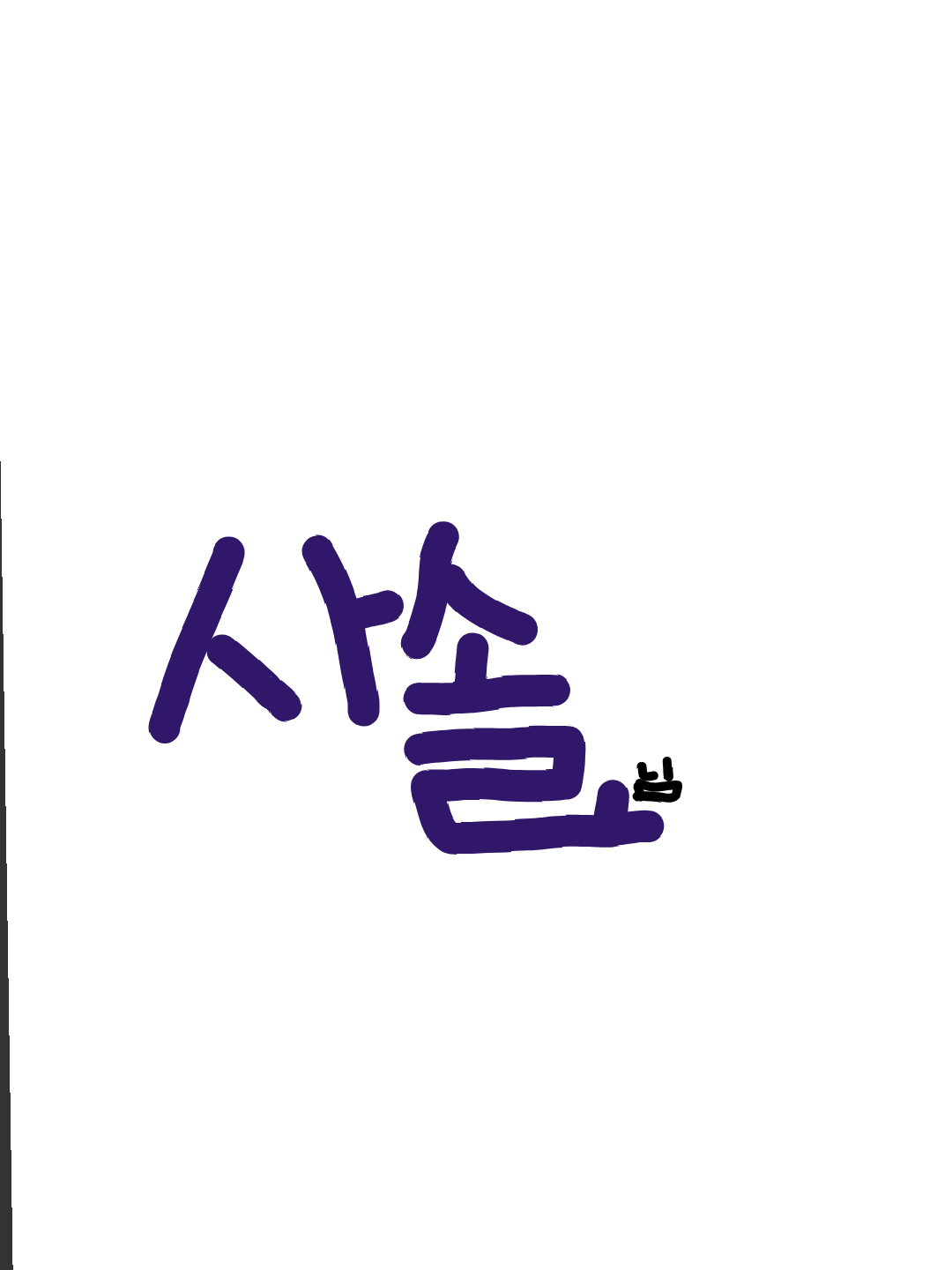 사솔미플(공약 대표 이미지