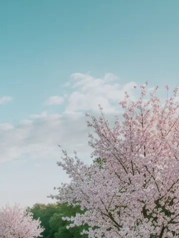 respear의 𝗣𝗔𝗦𝗧 𝗟𝗜𝗩𝗘𝗦