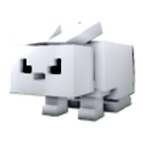 토끼