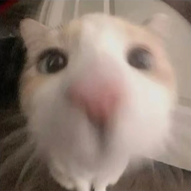 이지훈
