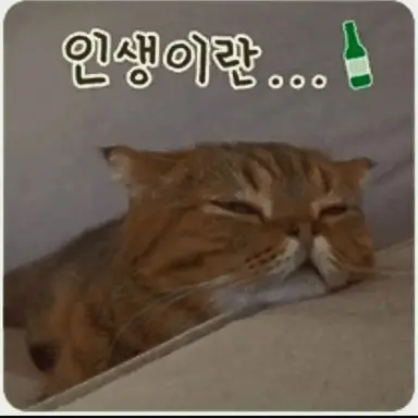 Profile image of 김 승한
