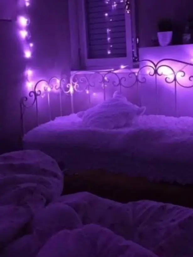 Zini_0320의 8人のインキュバス