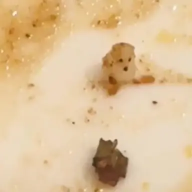 Profile image of 평학