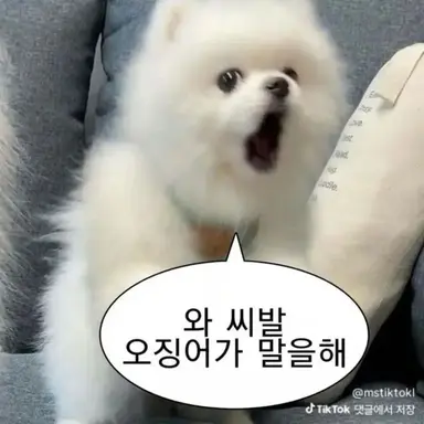 Profile image of 금쪽이