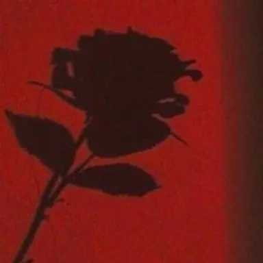 Profile image of 라더