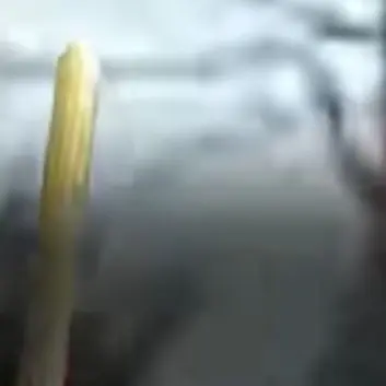 Profile image of 이순신