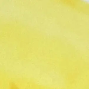 Profile image of 視聴者