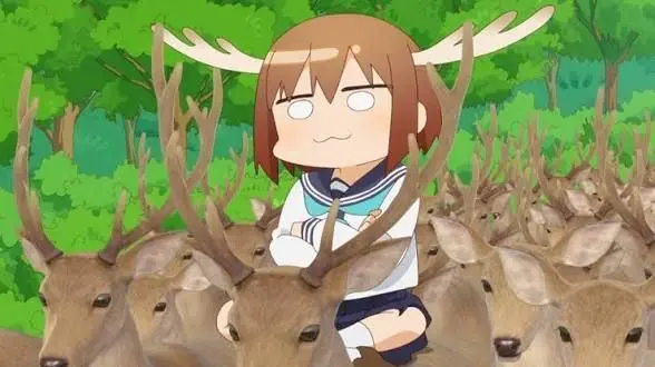 Profile image of のこたん