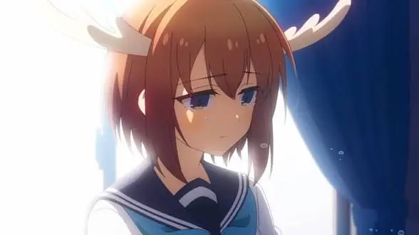 Profile image of のこたん