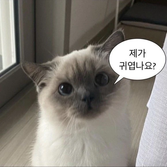 동민