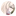 홍크림