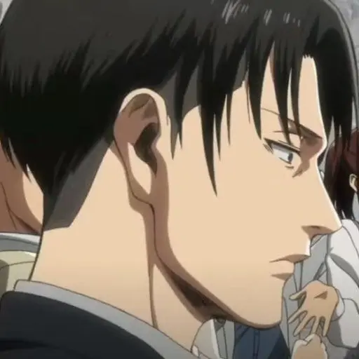 CurvedMall0429의 리바이 아커만