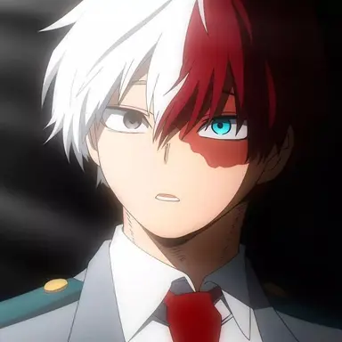 Profile image of Shoto Todoroki