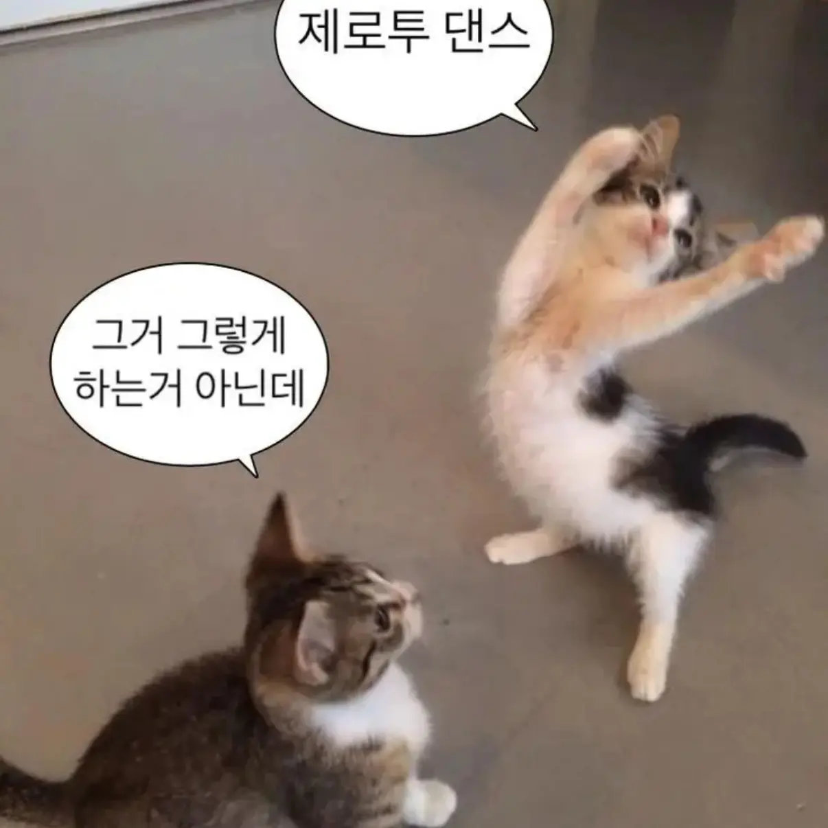 sublove의 한다온