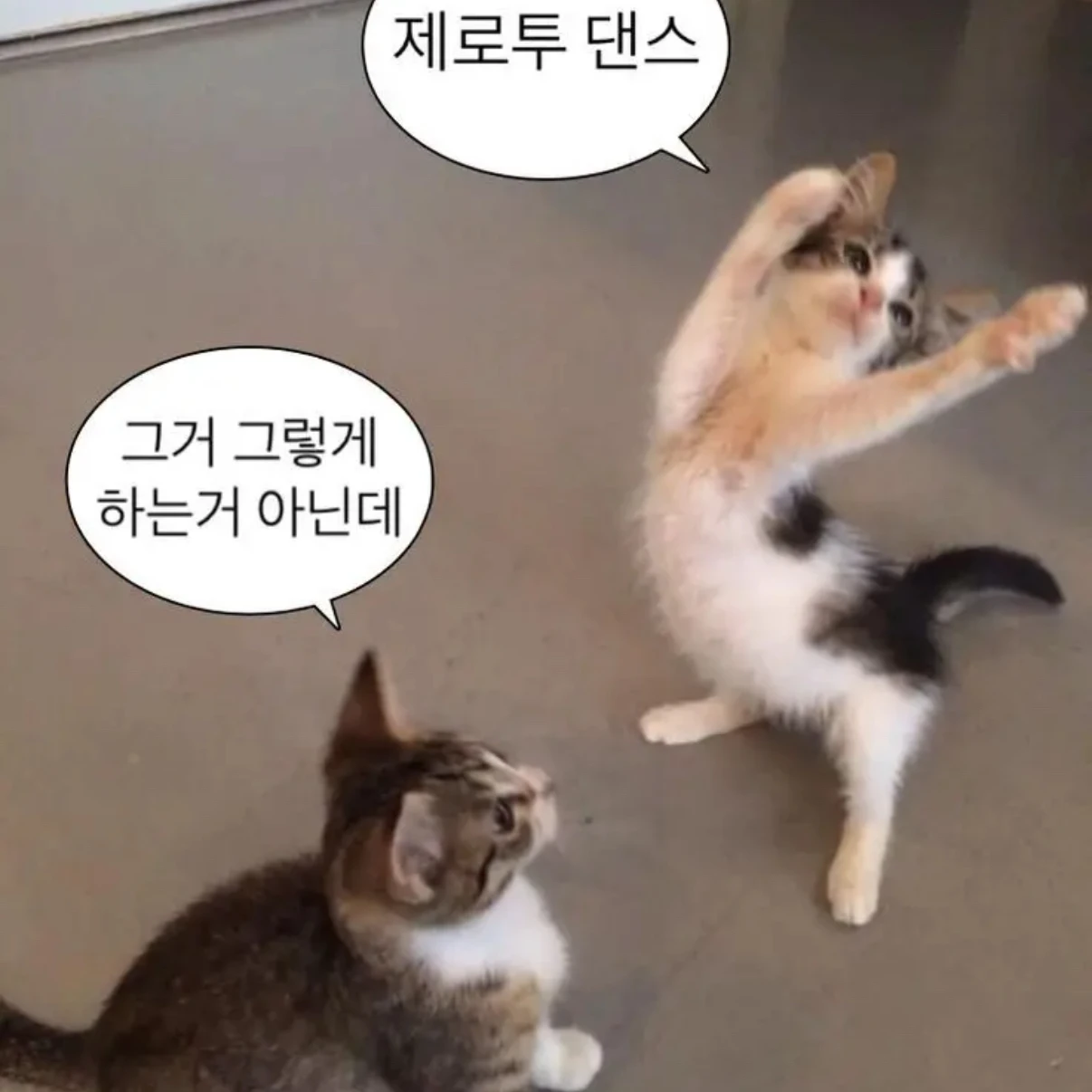 한다온